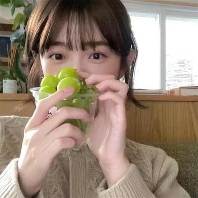 熊出没