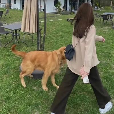 黑煞女海报